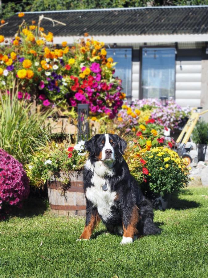 Rayleigh Riverfront Retreat- Peaceful Garden Oasis-25 Minutes To Ski Hill Kamloops Bagian luar foto