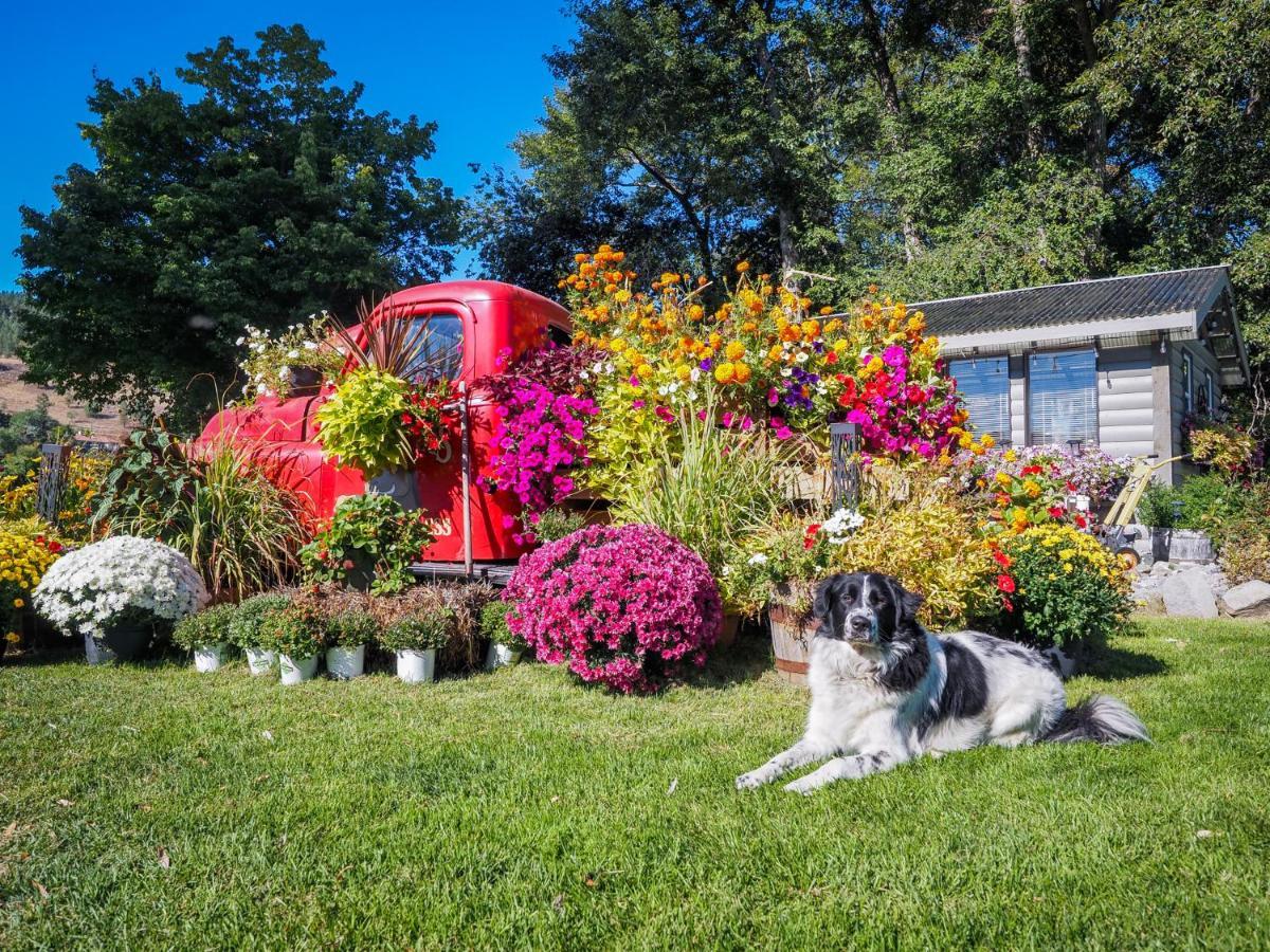 Rayleigh Riverfront Retreat- Peaceful Garden Oasis-25 Minutes To Ski Hill Kamloops Bagian luar foto